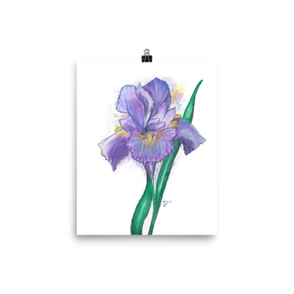 "Lovely Iris" Poster Print