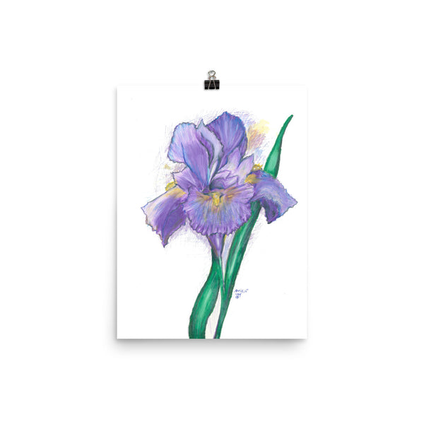 "Lovely Iris" Poster Print