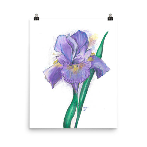 "Lovely Iris" Poster Print